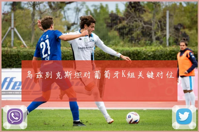乌兹别克斯坦对葡萄牙K组关键对位
