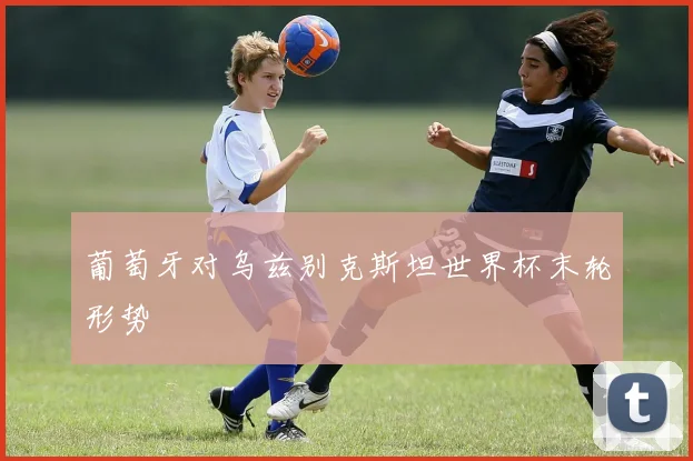 葡萄牙对乌兹别克斯坦世界杯末轮形势