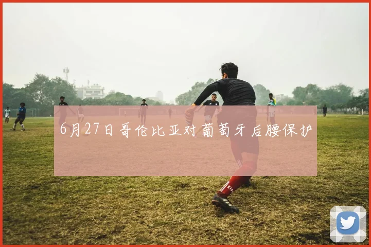 6月27日哥伦比亚对葡萄牙后腰保护