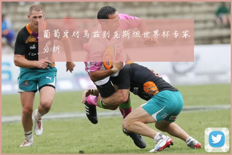 葡萄牙对乌兹别克斯坦世界杯专家分析