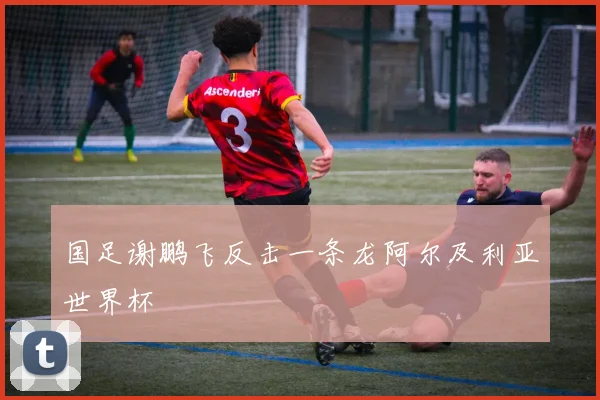 国足谢鹏飞反击一条龙阿尔及利亚世界杯