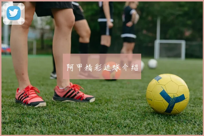 阿甲精彩进球介绍