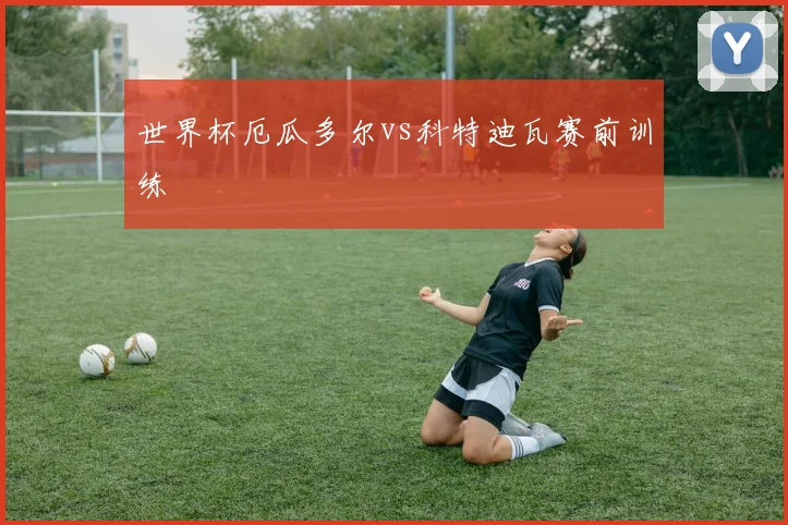 世界杯厄瓜多尔vs科特迪瓦赛前训练
